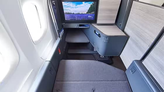All Nippon Airways Business Class to North America thumbnail 2