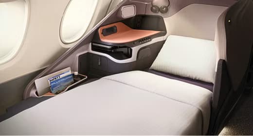 Singapore Airlines Business Class to Dubai - Image 1