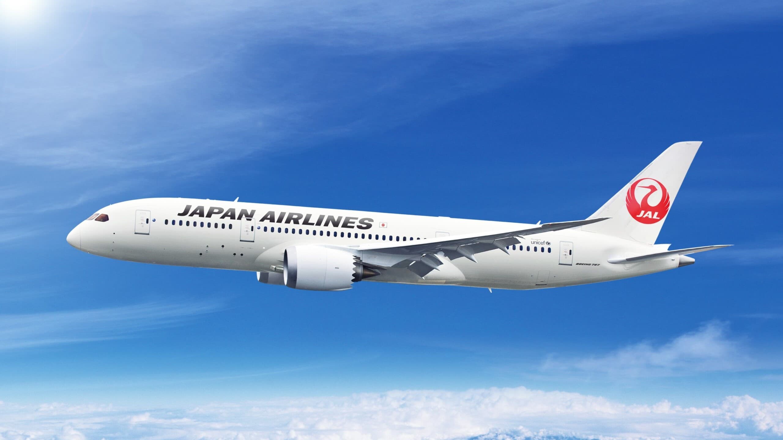 Japan Airlines Business Class To Japan thumbnail 3