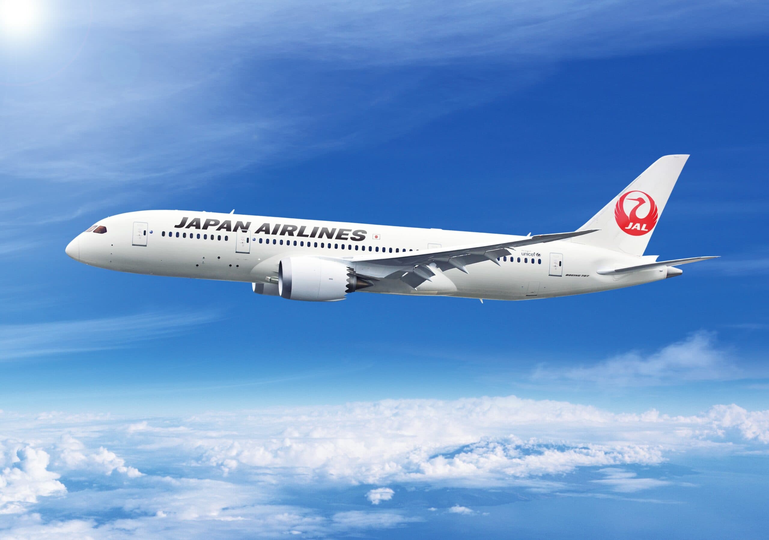 Japan Airlines Business Class to Europe thumbnail 12
