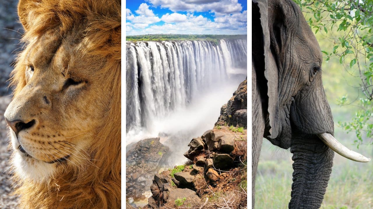 South African Airways Business Class to Africa thumbnail 2
