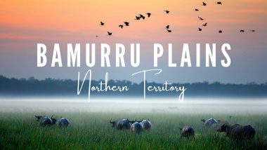 Bamurru Plains – Northern Territory