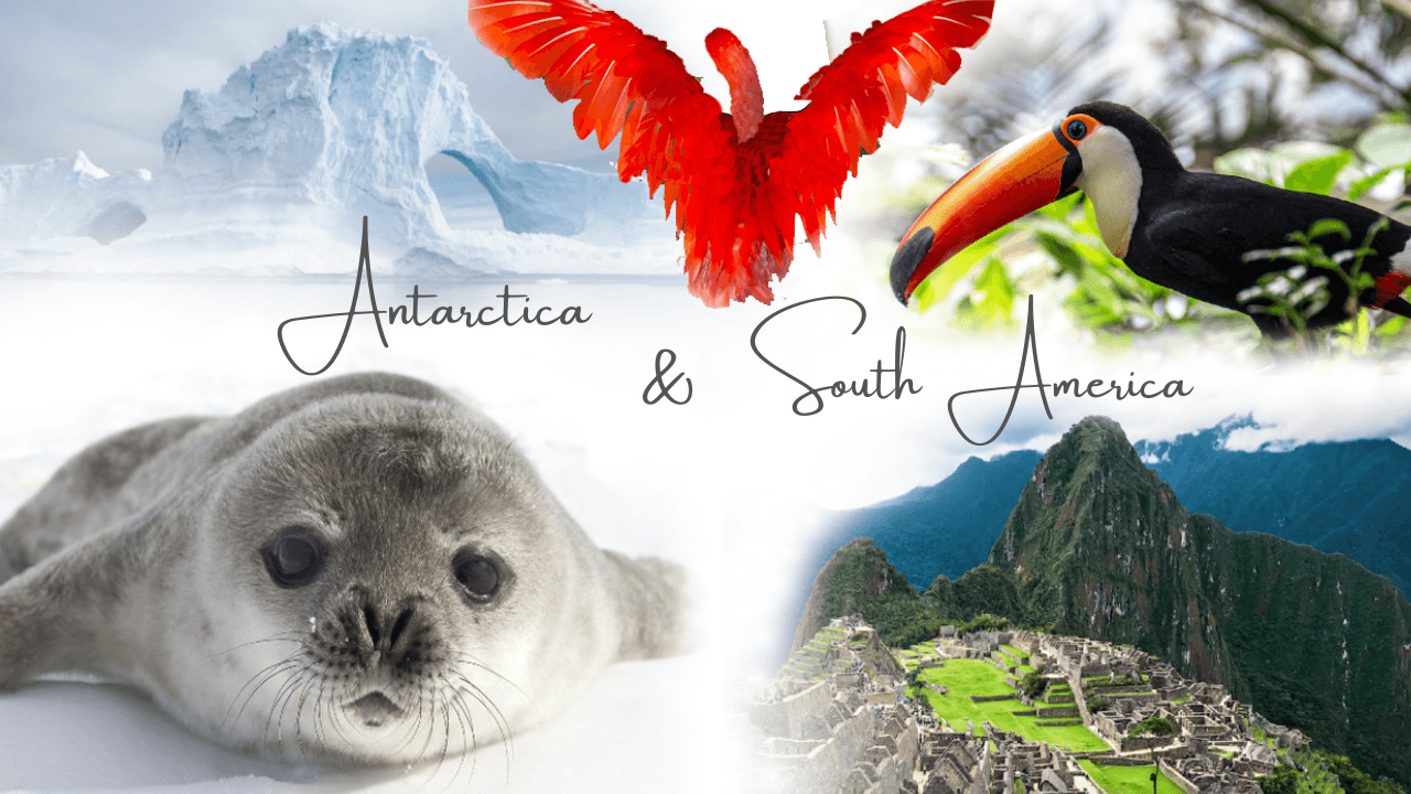 Qantas / LATAM Special Business Class to South America thumbnail 4